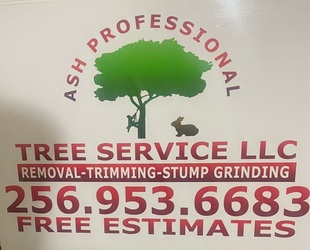 Ash Professional Tree logo