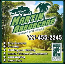 Logo for Martin Arborcare, LLC