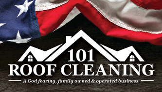 101 ROOF CLEANING logo