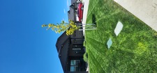 Logo for Allende's Lawn Care Maintenance & Landscaping