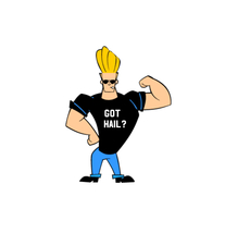 Logo for Hail Repair Guy