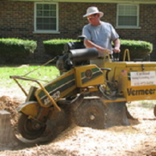 Logo for Cardinal Stump Grinding LLC