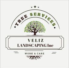 Avatar for Veliz Landscaping Inc