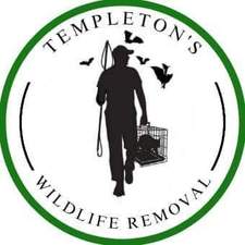 Avatar for Templeton's Wildlife Removal