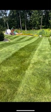 Logo for Mancia's Landscaping