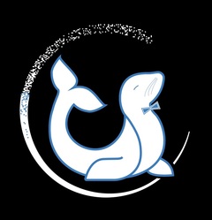 Sarasota Sand and Seal LLC logo