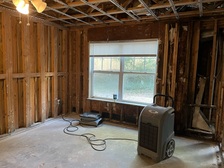 Avatar for Florida Mold Removal Service Group