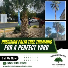 Avatar for Bairon'E Perez Tree Services LLC