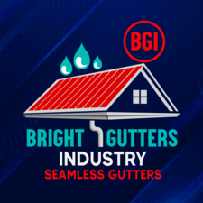 Avatar for Bright Gutters Industry