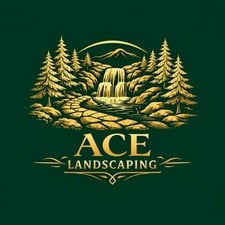 Avatar for Ace Landscaping
