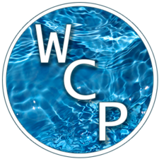 Logo for Wicked Clean Pools