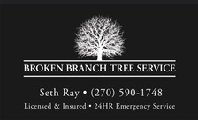 Logo for Broken Branch tree service LLC