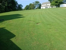 Avatar for Velasquez Landscaping