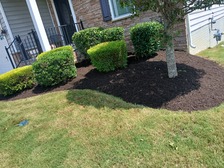 Avatar for Velasquez Landscaping