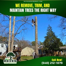 Avatar for Reyes Tree Service