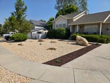 Avatar for Coonhound Landscape Specialties