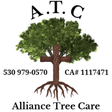 Logo for Alliance Tree Care
