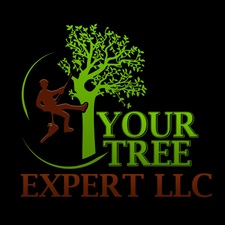 Avatar for Your Tree Expert