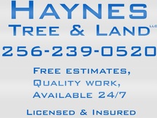 Logo for Haynes Tree & Land