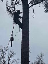 Avatar for Foth's Top Notch Tree Service, LLC