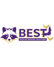 Avatar for Best Wildlife Solutions LLC