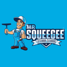 Avatar for Mr. Squeegee Exterior Cleaning