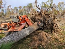 Avatar for Huskins Stump Grinding