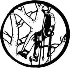Avatar for Pegher Tree Service