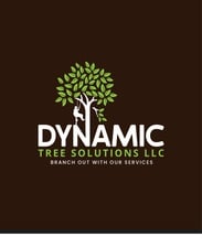 Avatar for Dynamic Tree Solutions LLC
