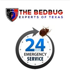 Avatar for The Bedbug Experts Of Texas