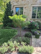 Avatar for Steven Andrews Landscaping