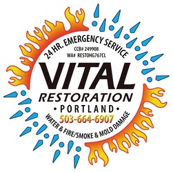 RESTORATION HILLSBORO GROUP INC logo