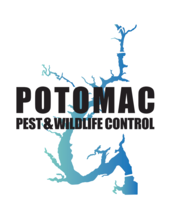 Avatar for Potomac Pest and Wildlife