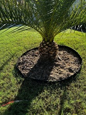 Logo for Best Horizon Landscaping, LLC