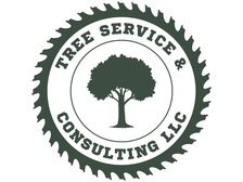 Logo for Tree Service & Consulting LLC