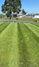 Logo for RNC lawn care