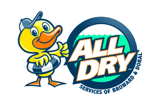 Avatar for All Dry Services of Broward & Doral