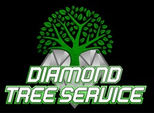 Avatar for Diamond Tree & Landscaping