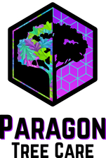Paragon Tree Care logo