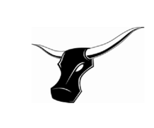 Longhorn Inspections, Inc. logo