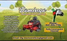 Logo for Domingo Green Leaf Lawn Care LLC