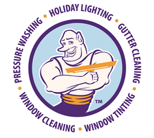 Avatar for Window Genie of Reading