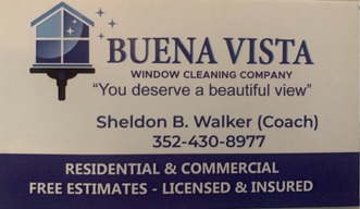Buena Vista Window Cleaning logo