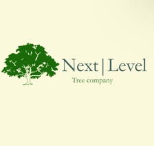 Logo for Next Level Tree Co.