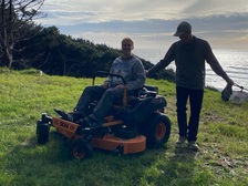 Logo for Trees High Fidelity