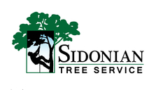 Logo for Sidonian Tree Services