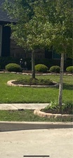 Logo for Lonestar Landscaping Pros