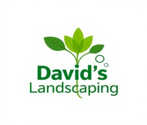 David's Landscaping logo