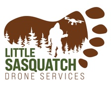 Logo for Little Sasquatch Drone Services
