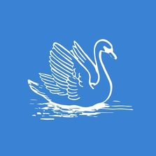 Avatar for Swan Pros LLC